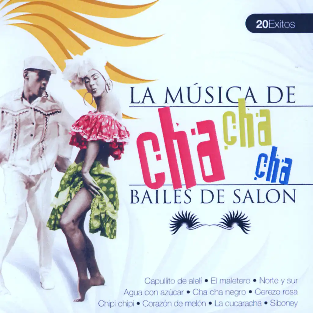 Cha Cha Negro (Cha Cha Cha. Bailes de Salón)