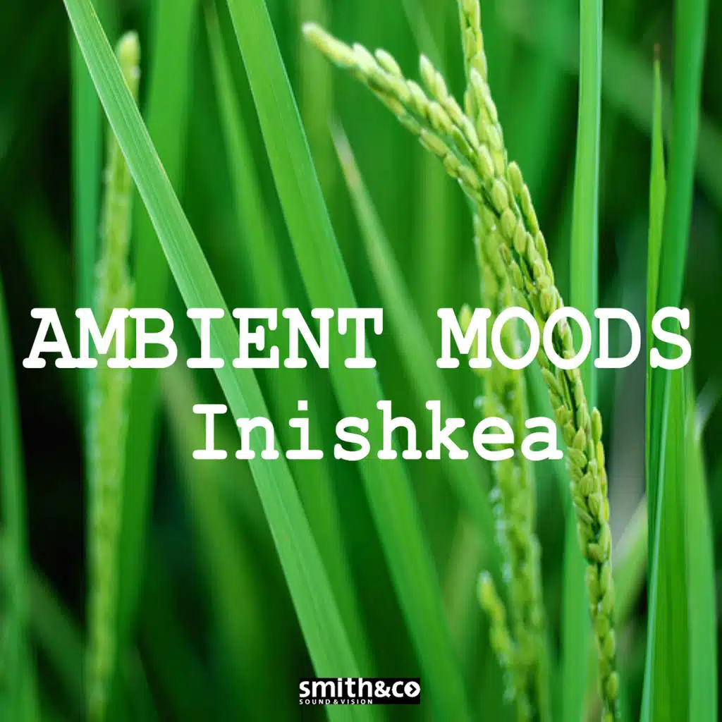 Ambient Moods