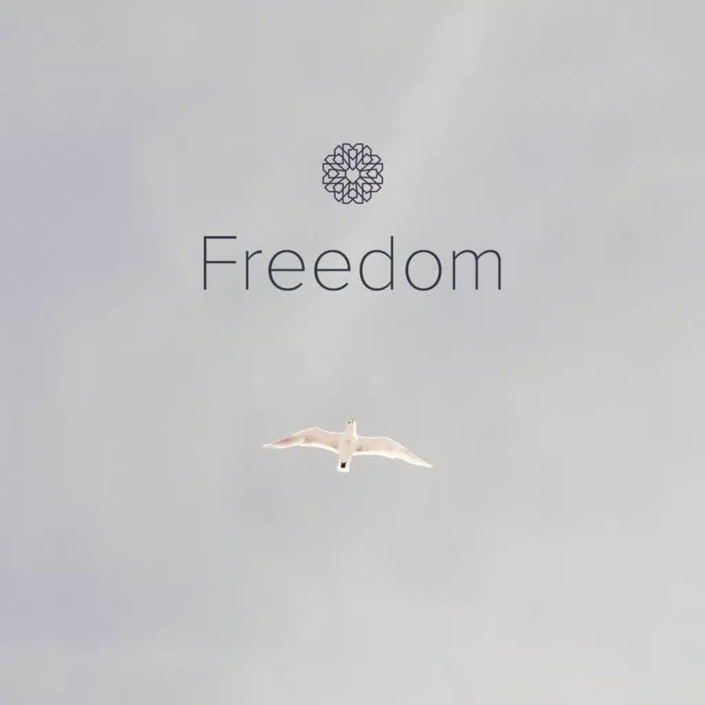 Episode 4.24 | Freedom