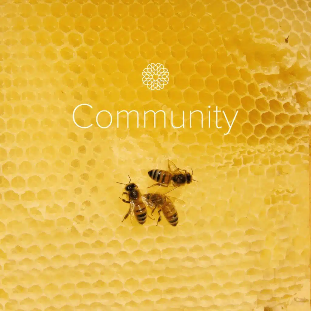 Episode 4.28 | Community