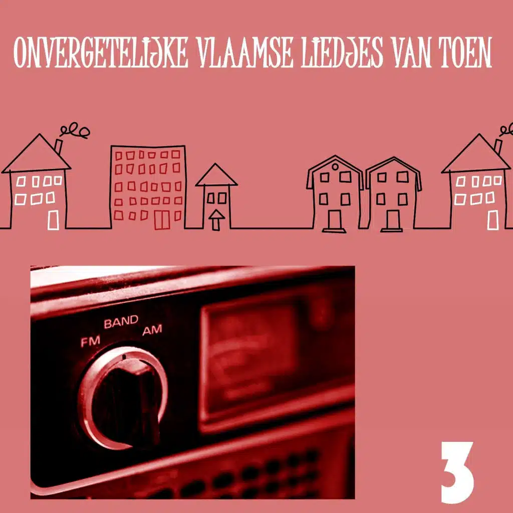 Onvergetelijke Vlaamse Liedjes van Toen, Volume 3