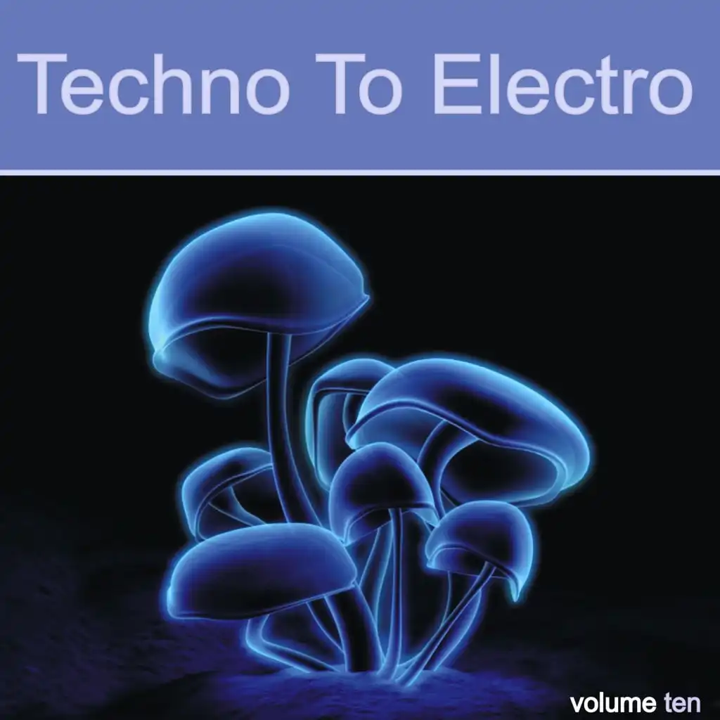 Techno to Electro Vol. 10 - DeeBa
