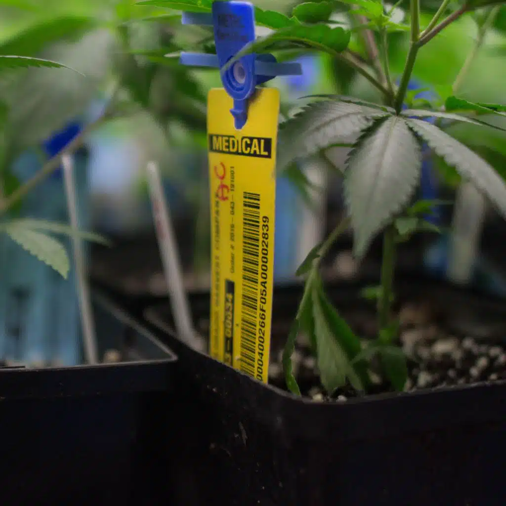 Cosmic Queries – Pot Luck with Dr. Staci Gruber