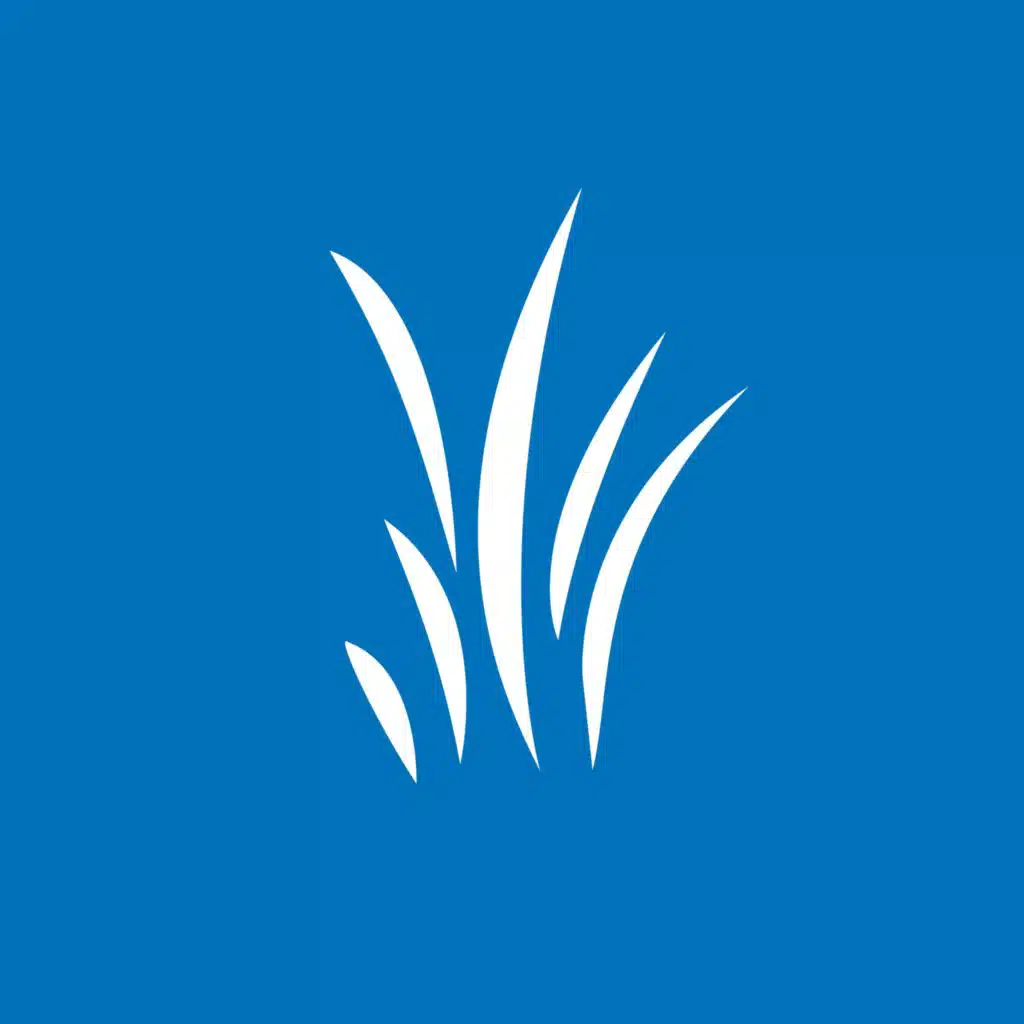 New Life Presbyterian Church