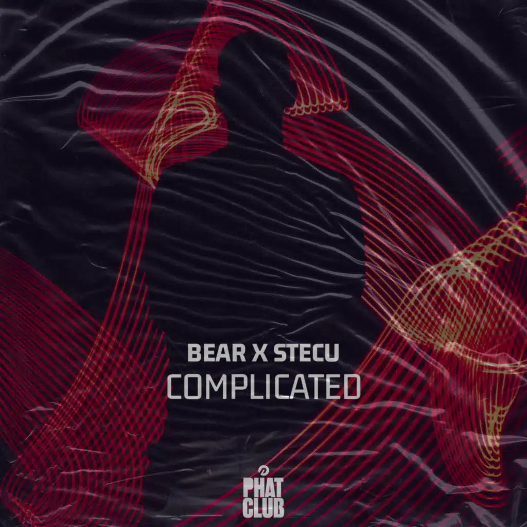 Bear & Stecu