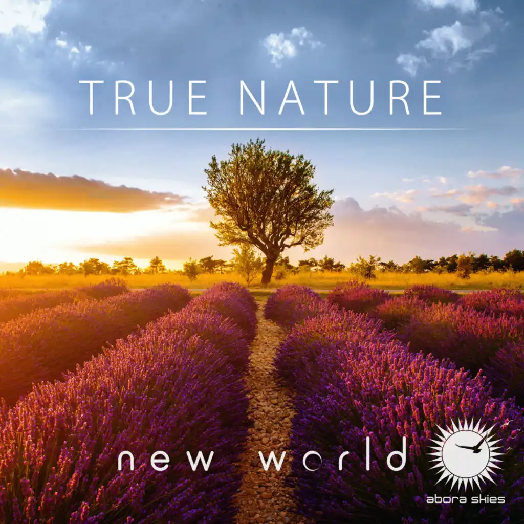 True Nature (Club Mix)