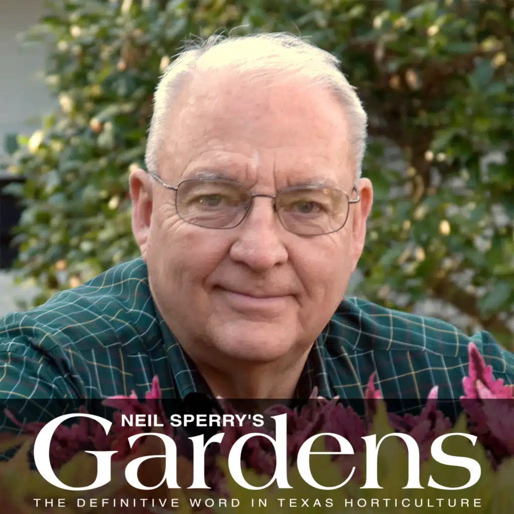 Neil Sperry