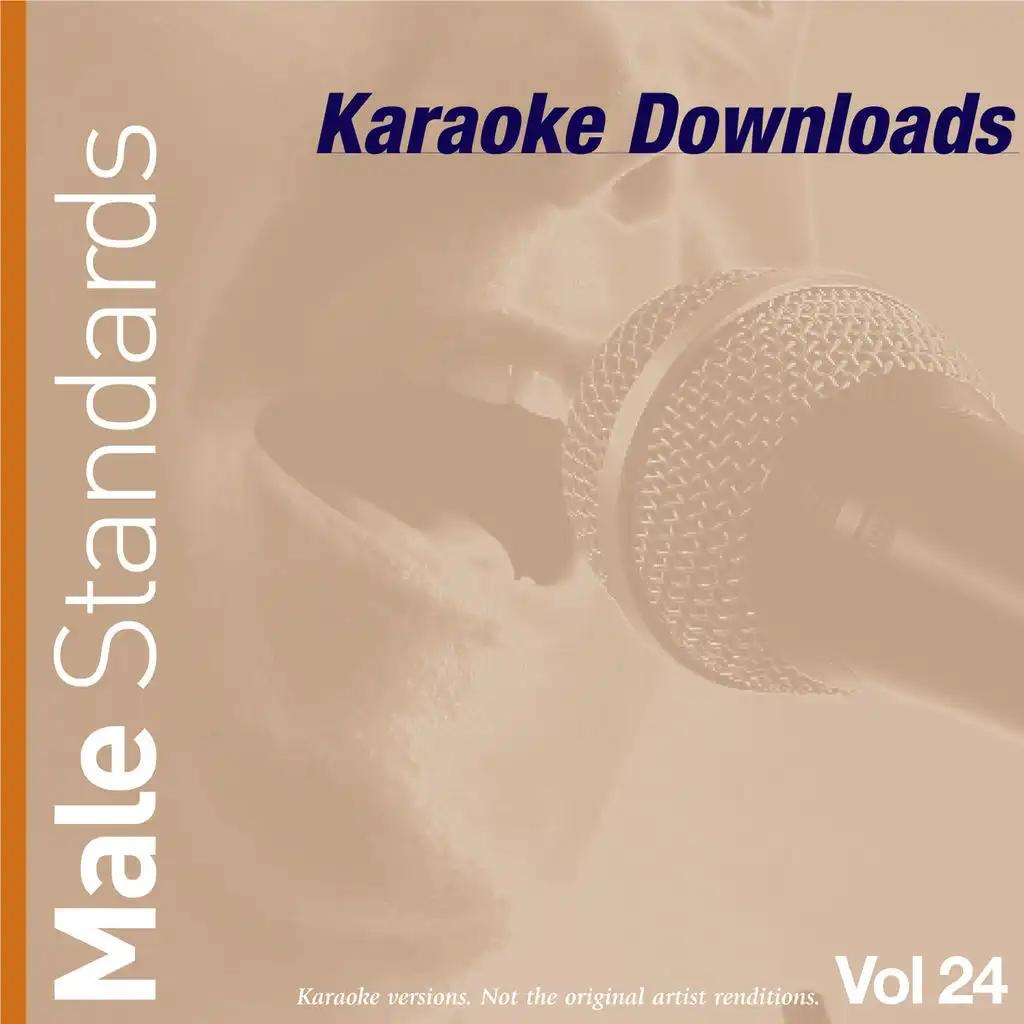 Karaoke Downloads - Male Standards Vol.24