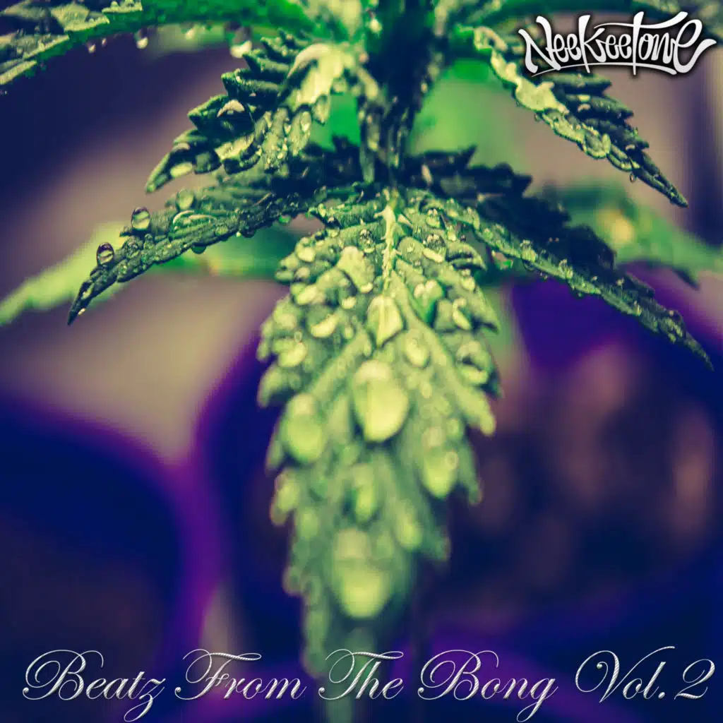 Beatz from the Bong, Vol. 2
