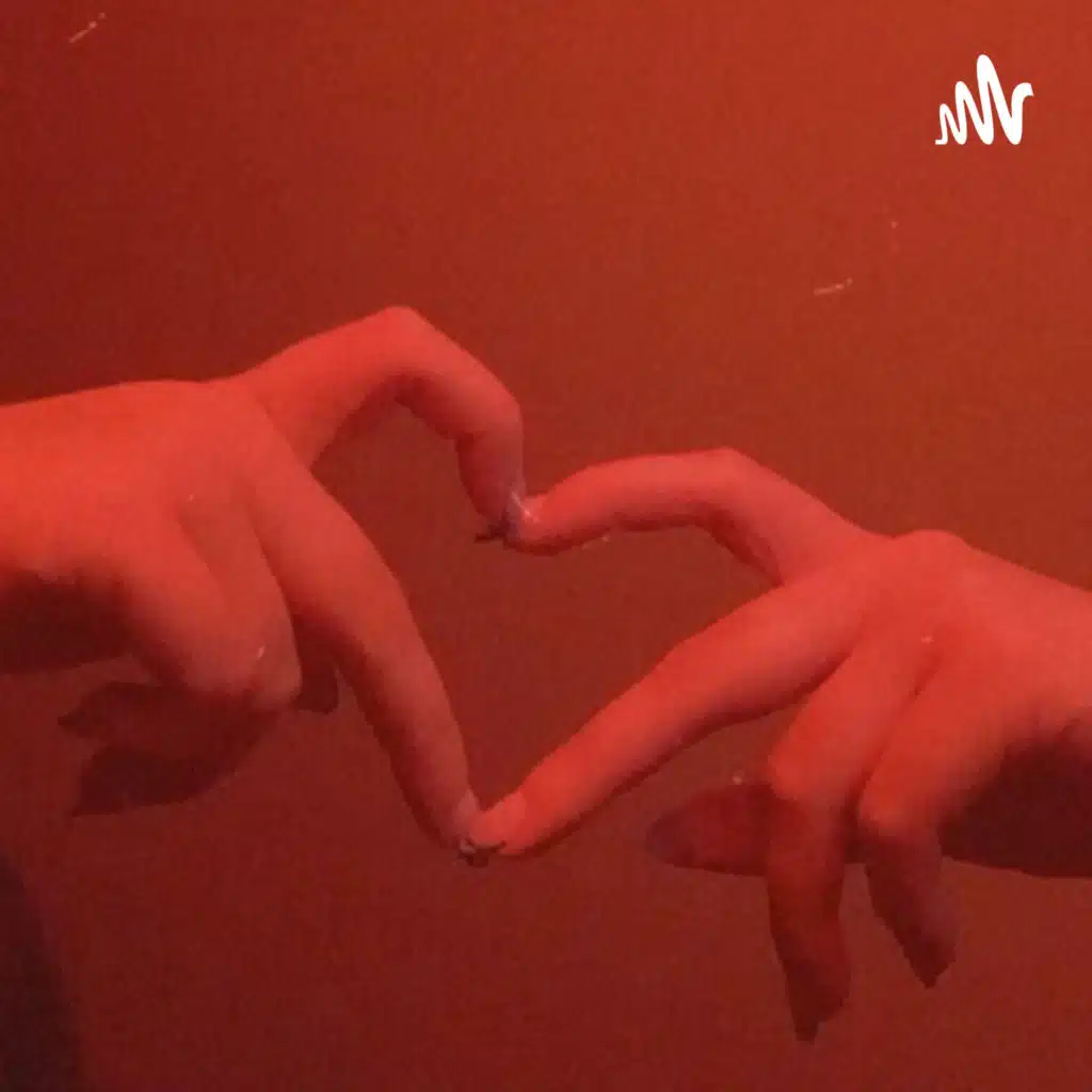 3 Punkte an denen du deinen soulmate erkennen kannst