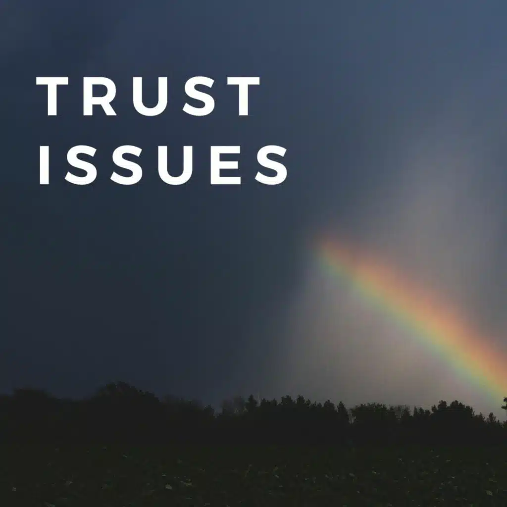 Trust Issues | When Life Doesn't Make Sense | Joel Hendricks | 7.8.18
