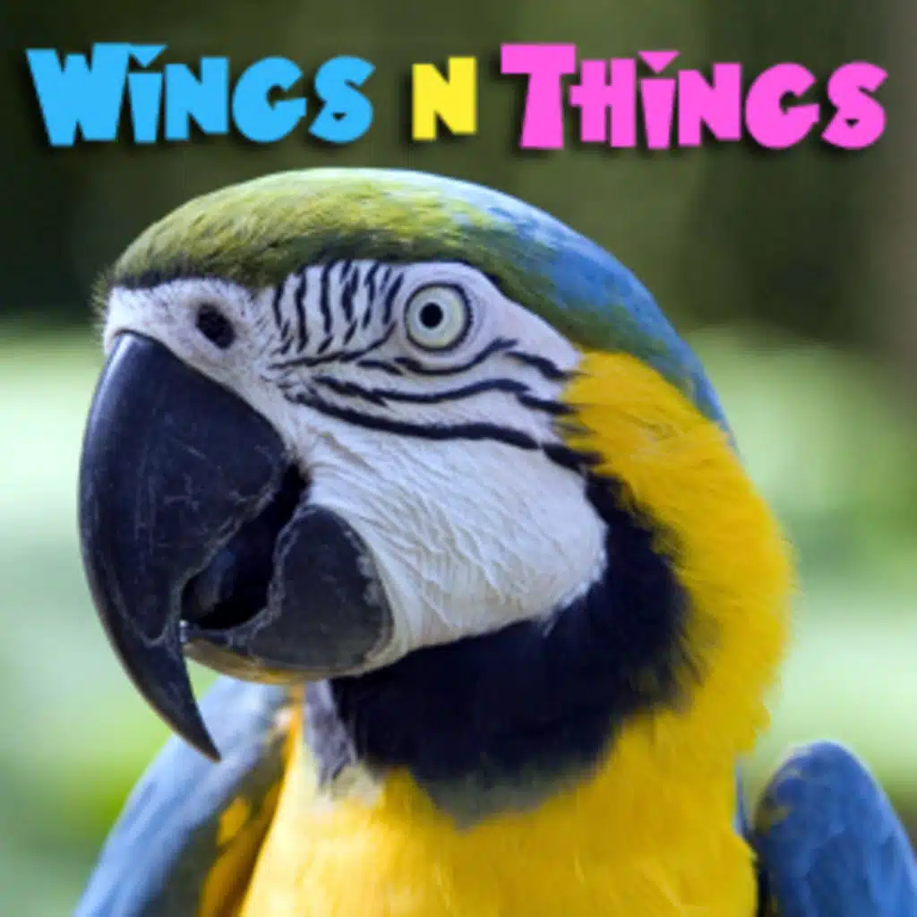 WingsNThings - Birds & Parrots as Pets -Pet Life Radio Original