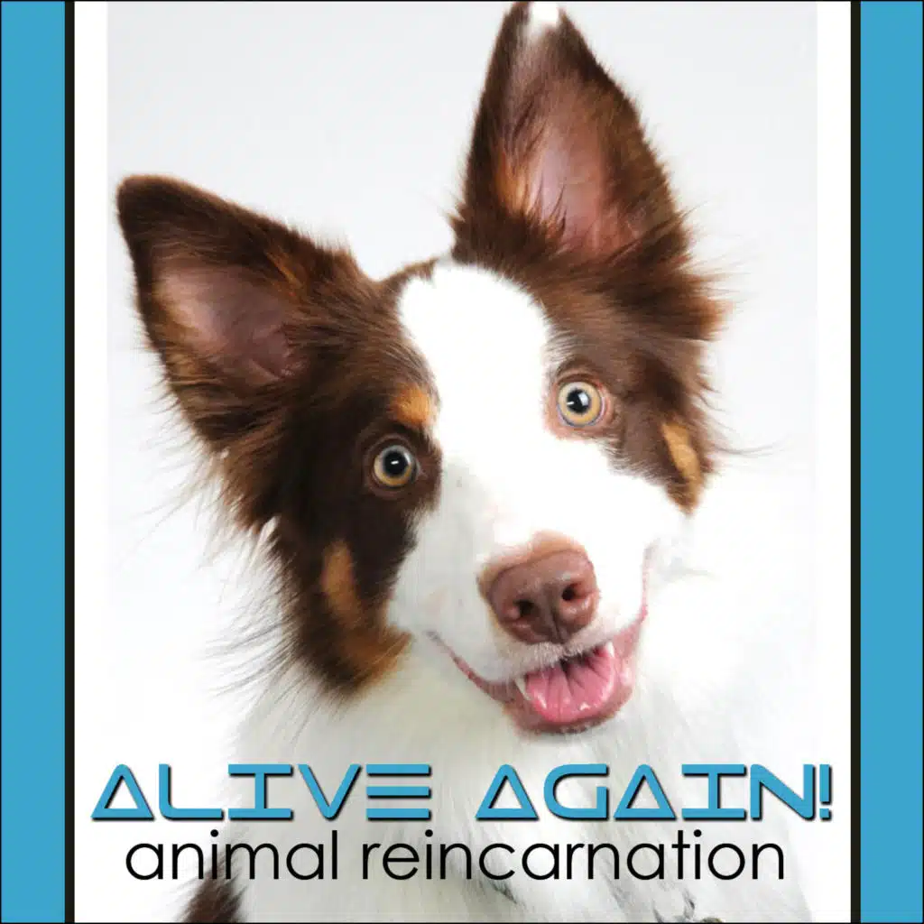 Alive Again - Episode 46 Pets on the Other Side