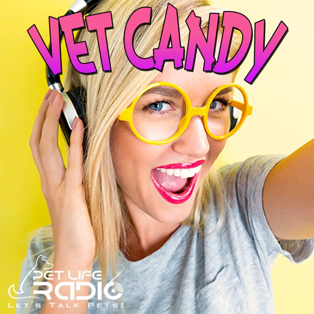 Vet Candy- Pet Life Radio Original