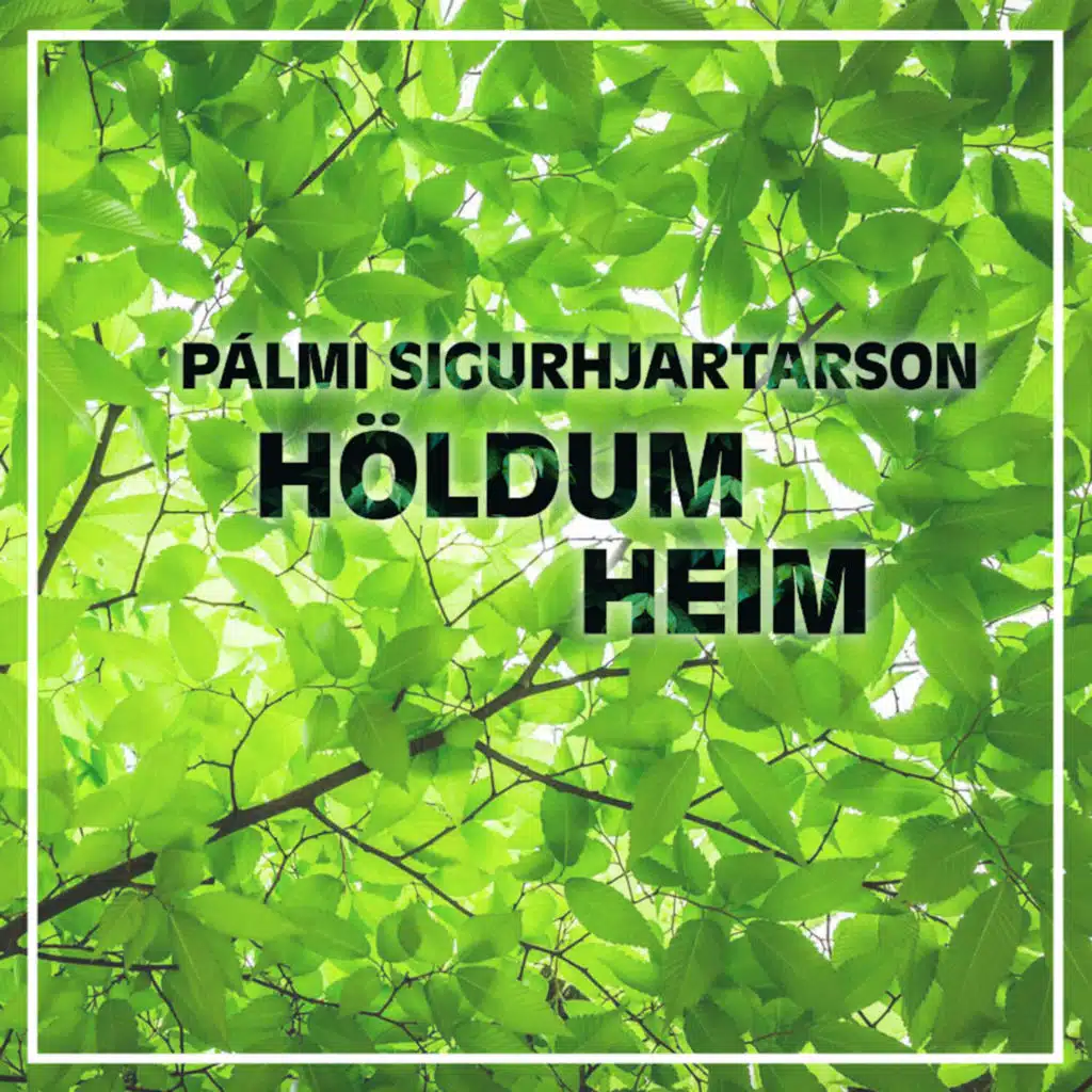 Pálmi Sigurhjartarson