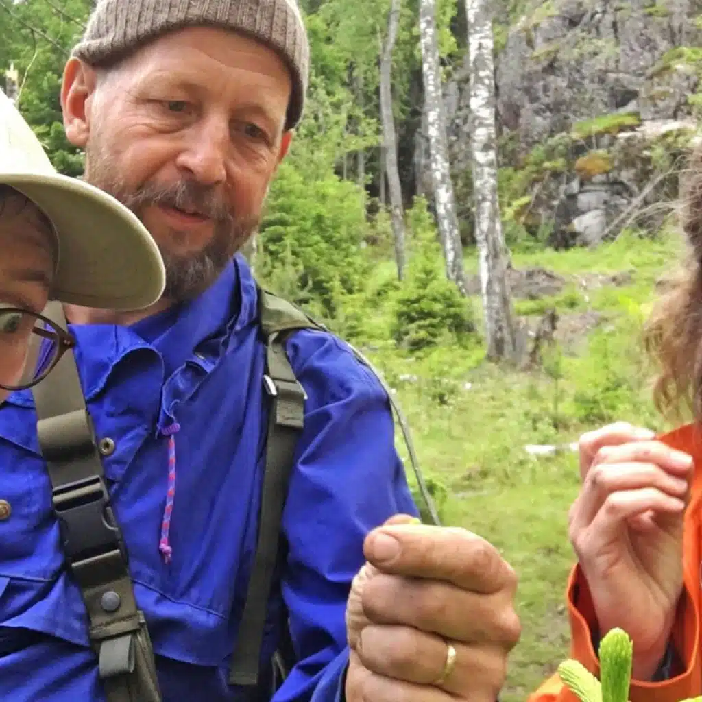 Vilse i skogen – så klarar du dig