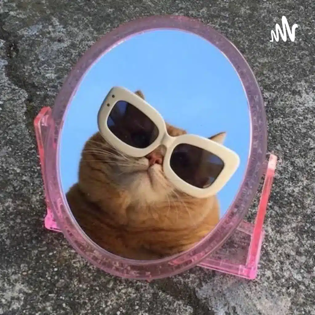 literatuur podcast nl