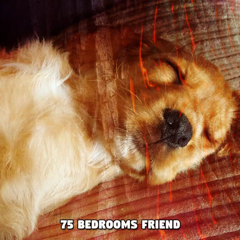 Newfound Peace