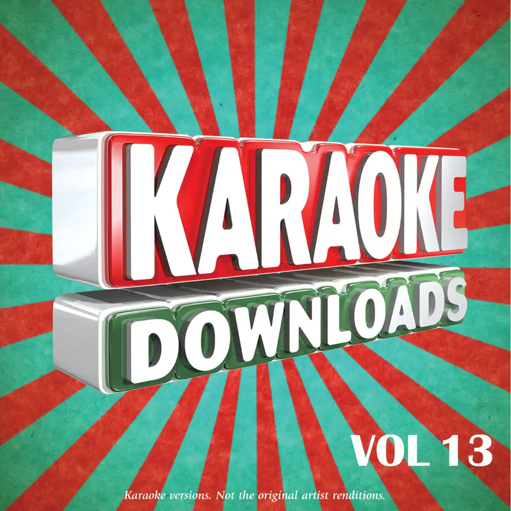 Karaoke Downloads Vol.13