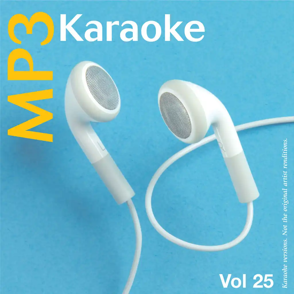 MP3 Karaoke Vol.25