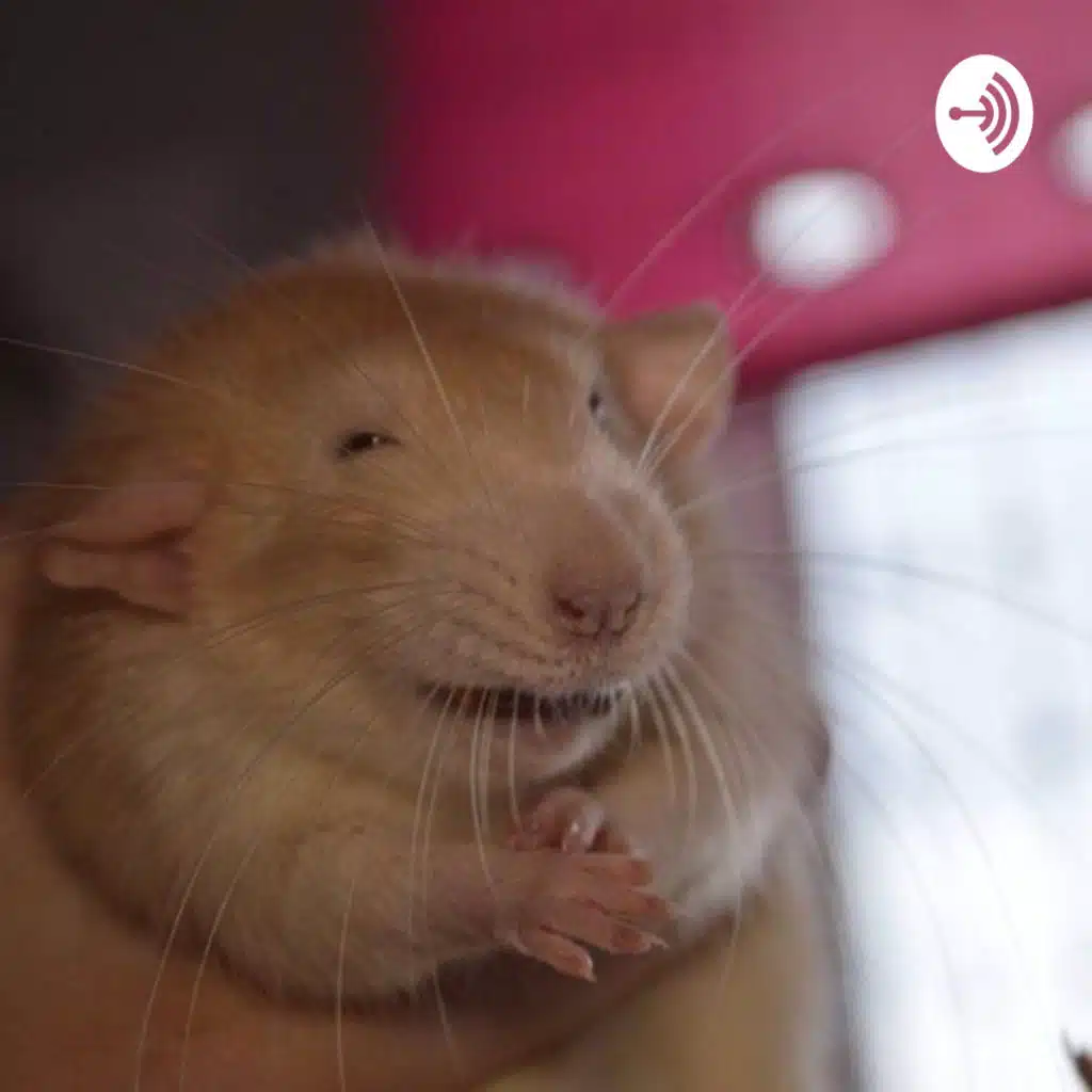 Bitácora de lectura 2