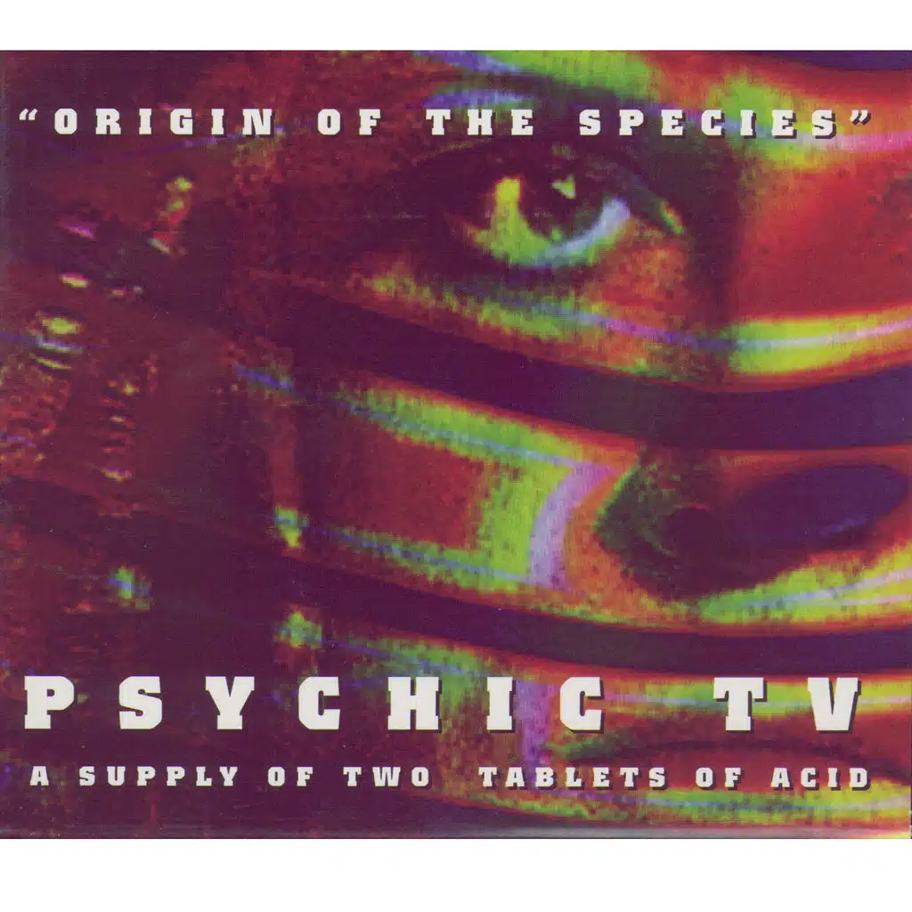 Horror House - Monitor Mix