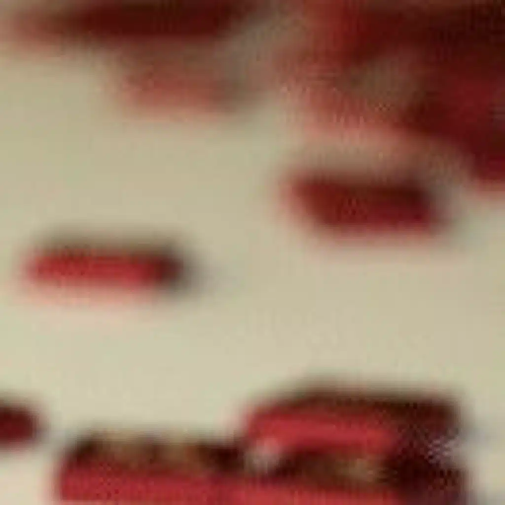 1/24/2021 | St Johns | Who Do You Want to Become