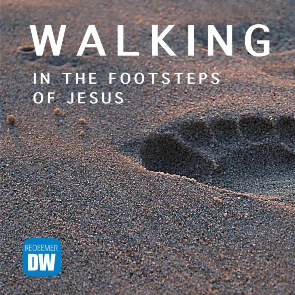 3-28-2021 | Dewitt | Fan or Follower?