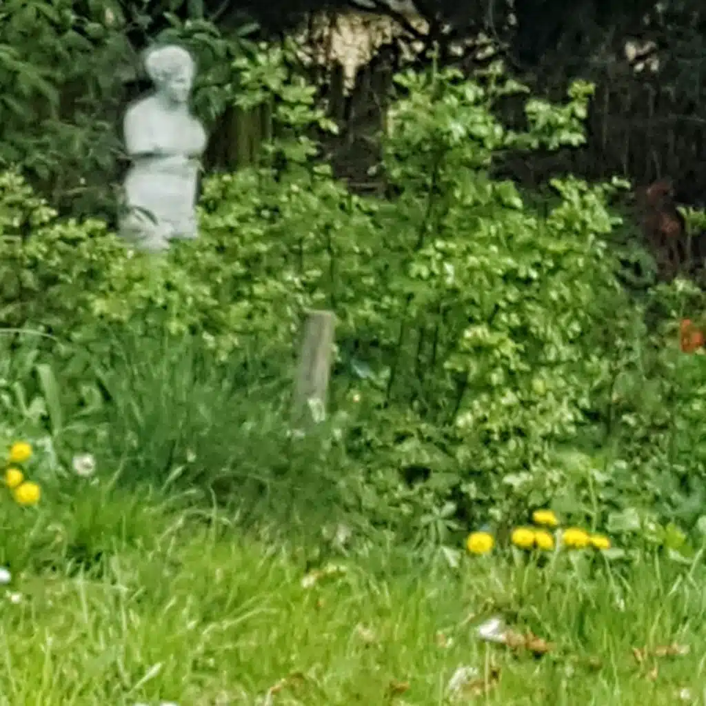 005 ASMR Germany Saxony Spring is in the air 