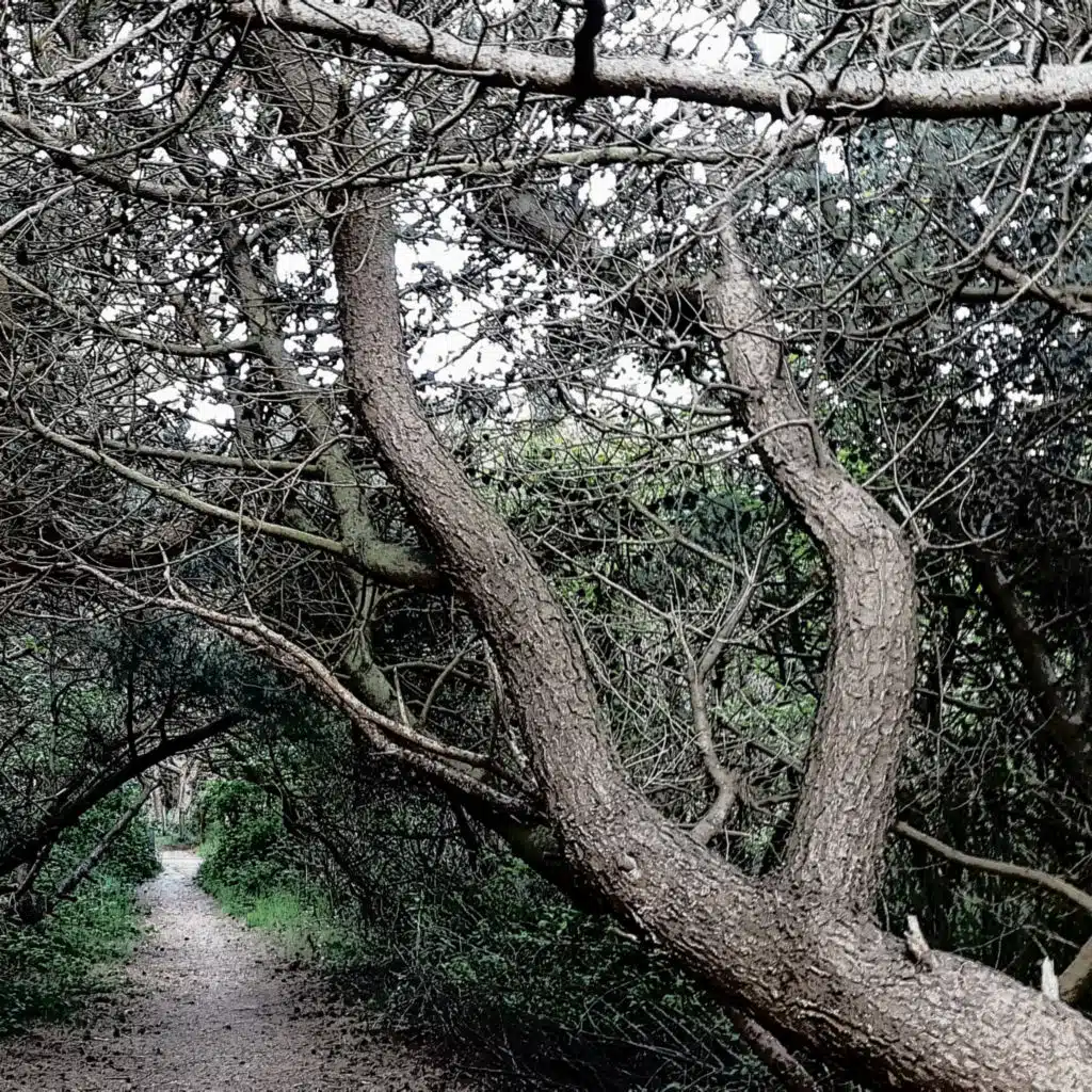 009 ASMR Germany Sylt sunset walk