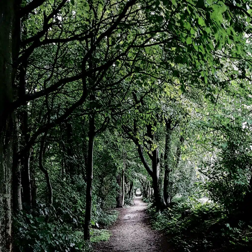 011 ASMR Germany Sylt another morning walk
