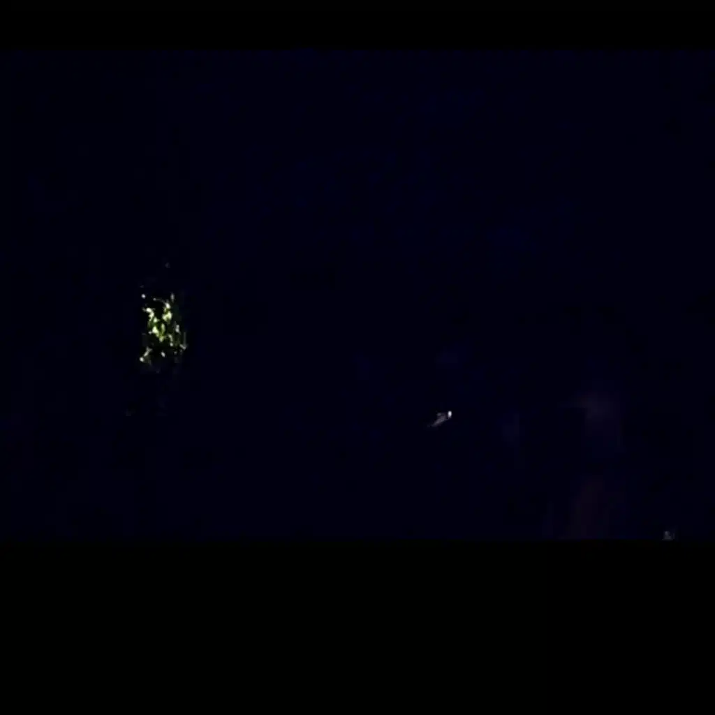 023 ASMR Germany Dahlenberg late summer night