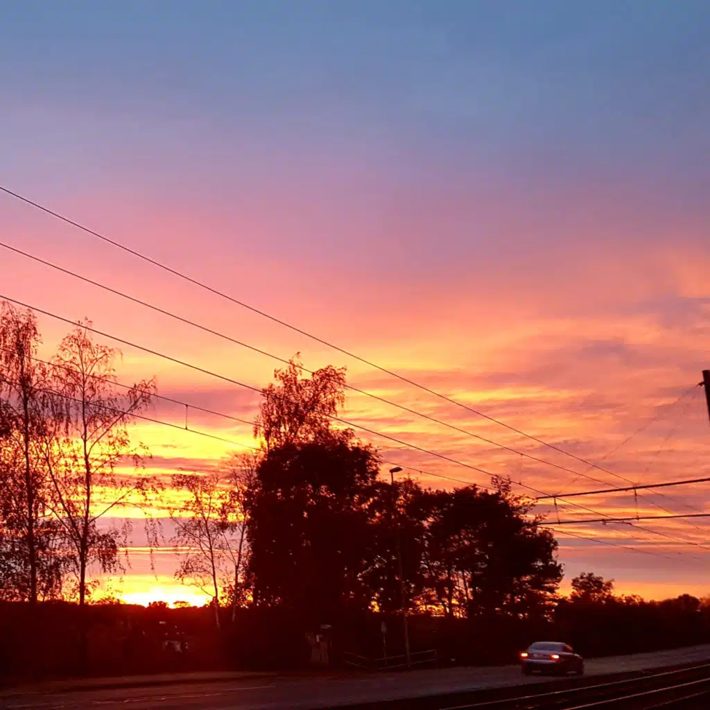 024 ASMR November rain and cars and birds 