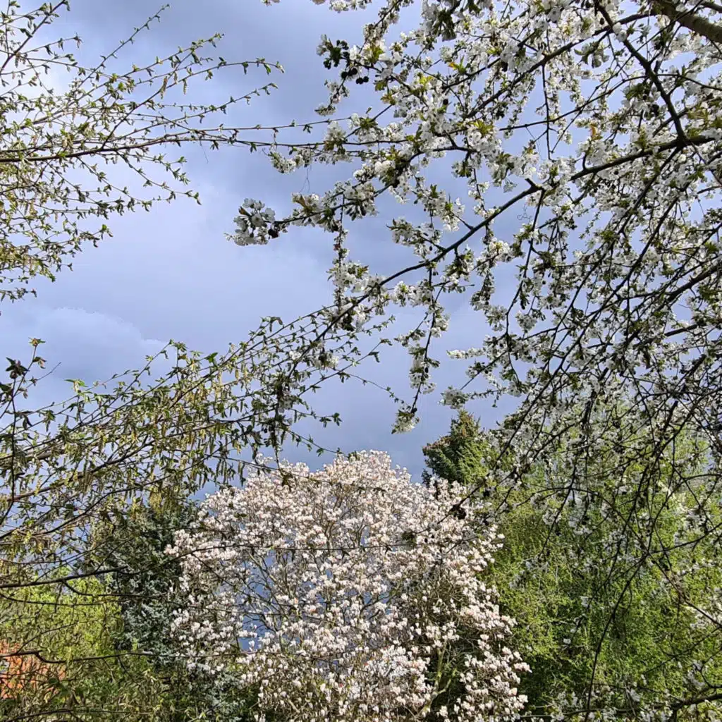 025 ASMR November Rain in May or six month later 