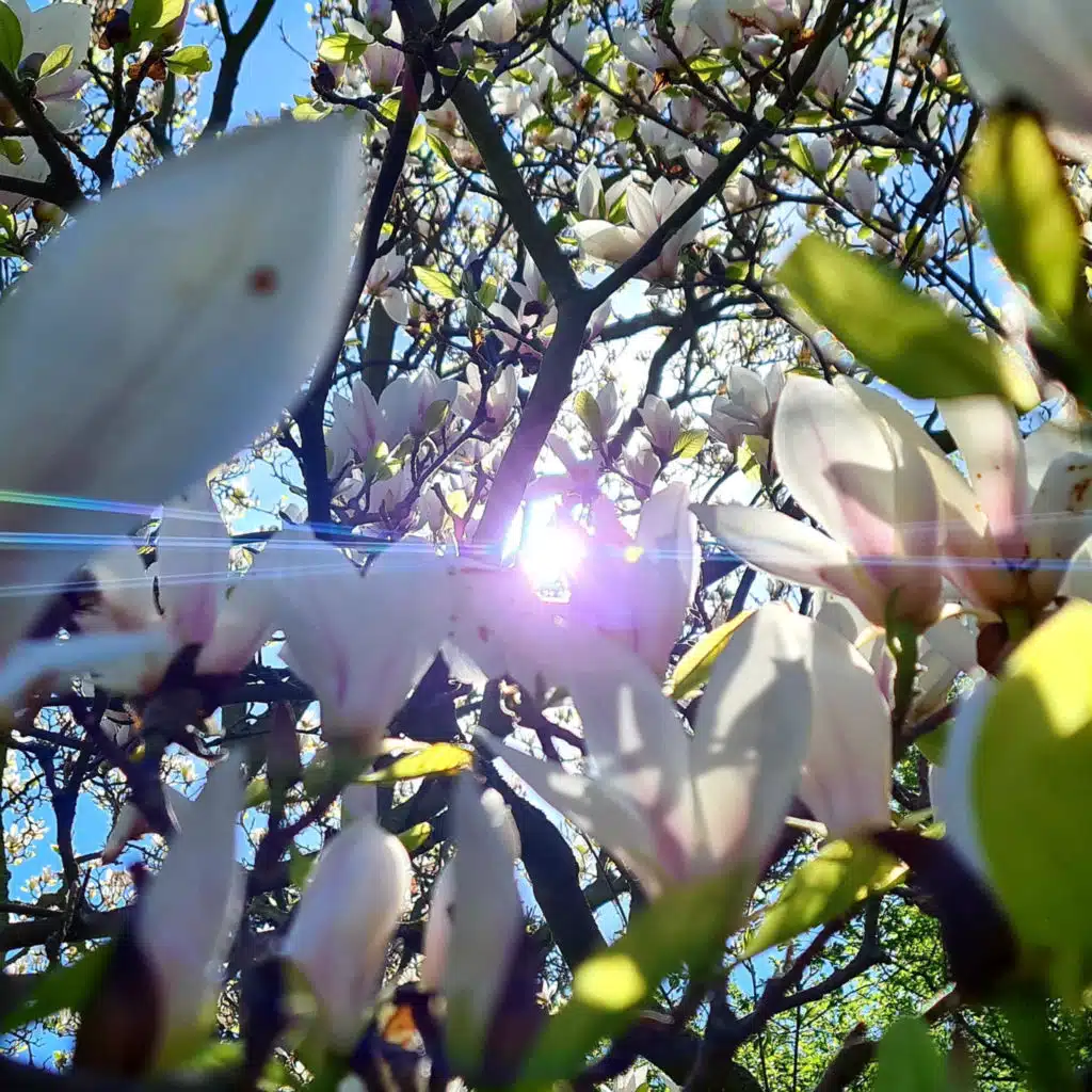 026 ASMR light thunderstorm with sunshine in the evening