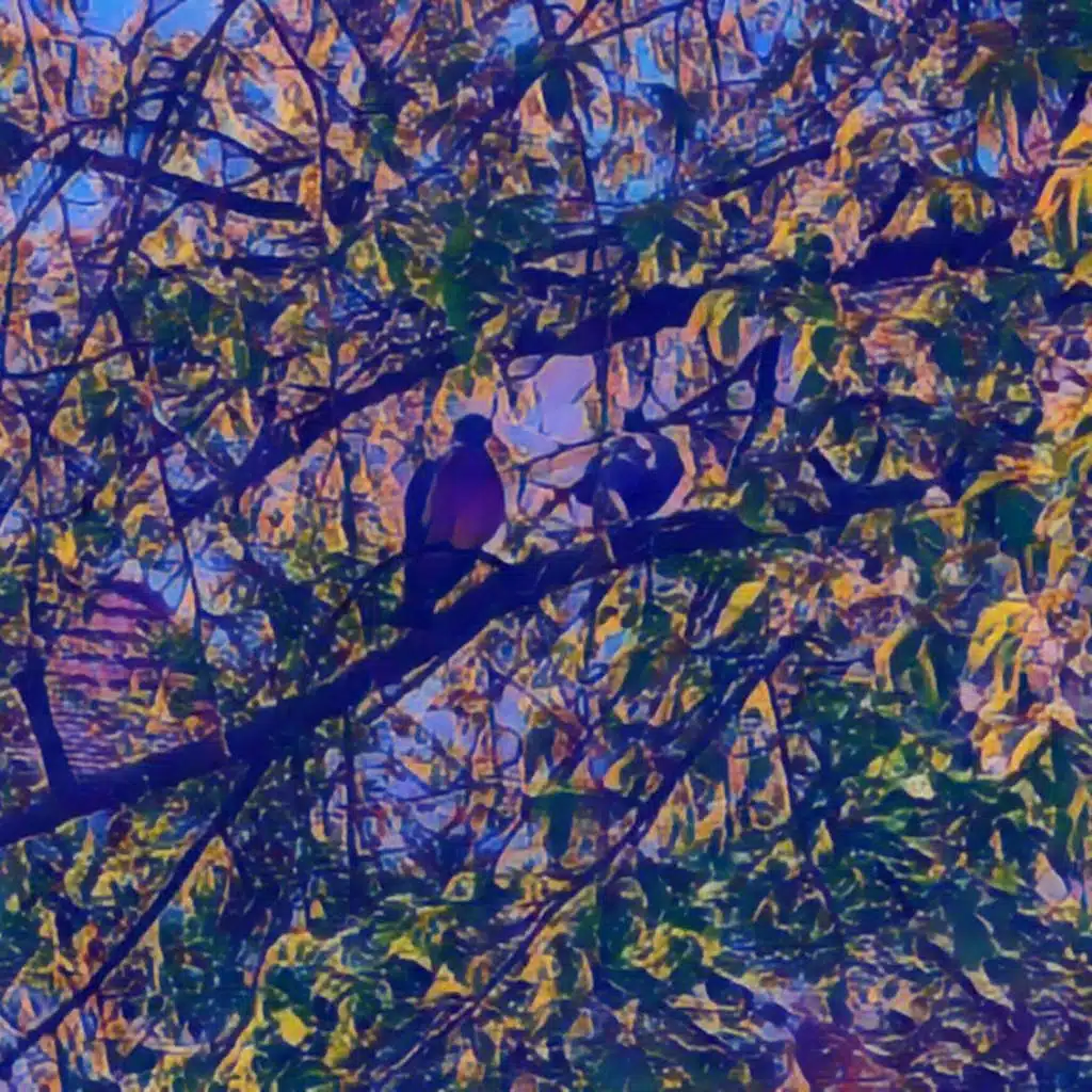 028 ASMR 4 a.m. in July somewhere in Germany (little & big birds)