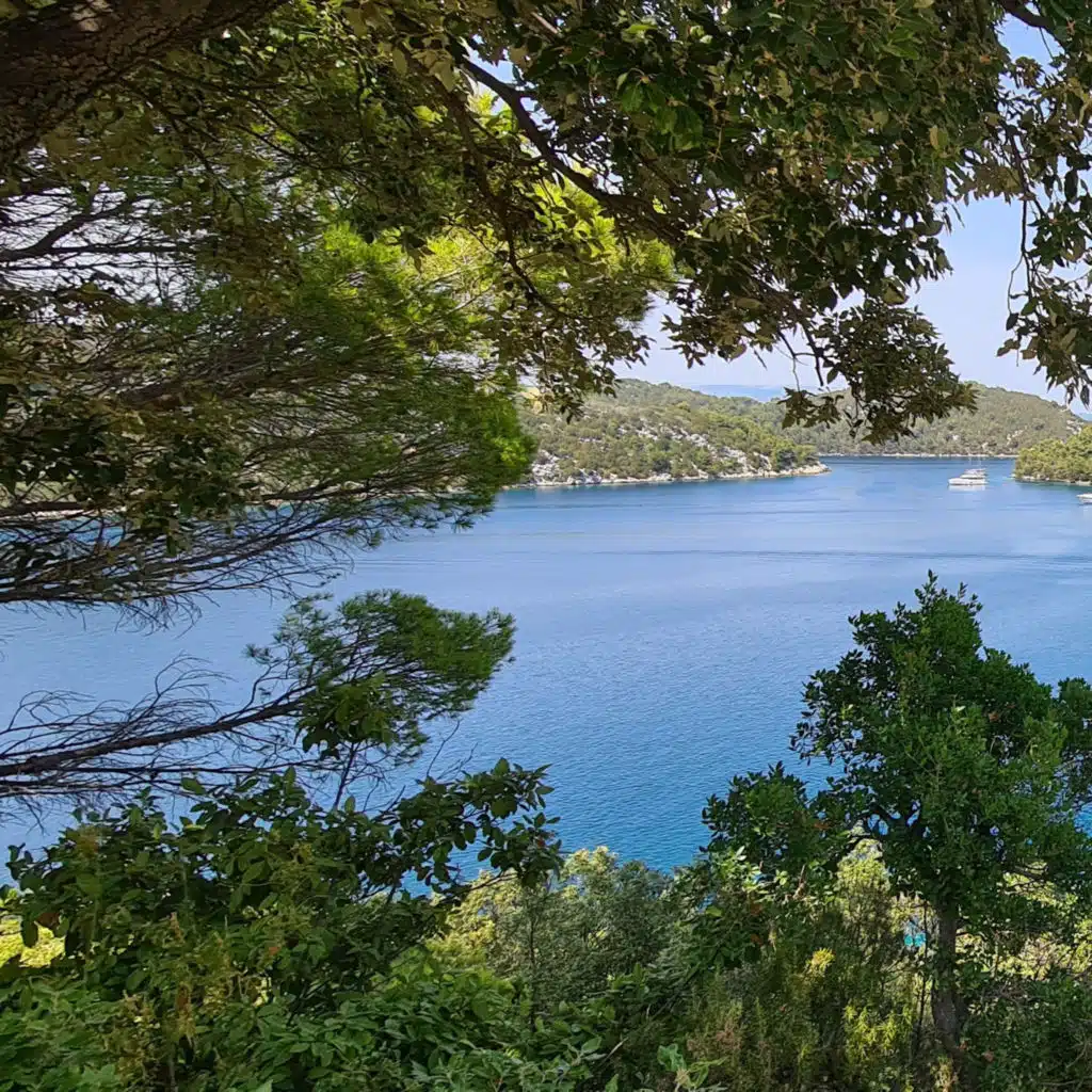 030 ASMR cicadas in Croatia, Dubrovnik