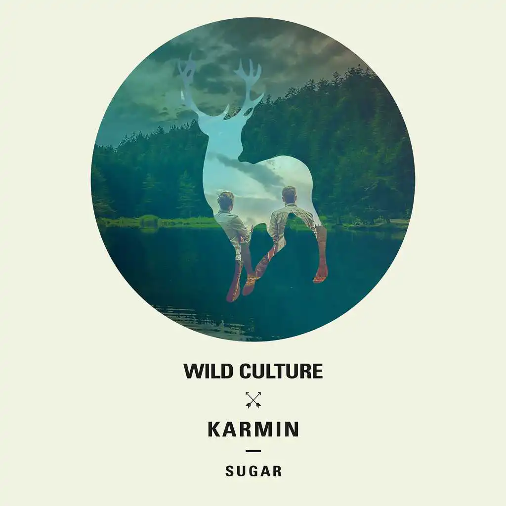 Sugar (Wild Culture vs. Karmin) [Averro Remix] (Wild Culture vs. Karmin;Averro Remix) [feat. Arian Amedie]