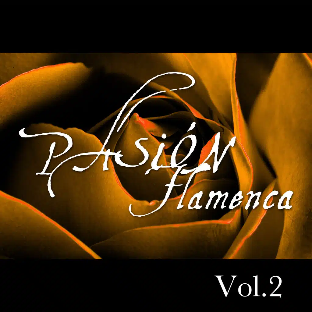 Pasión Flamenca Vol.2