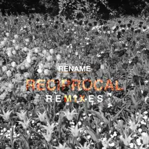 Reciprocal (Remixes)