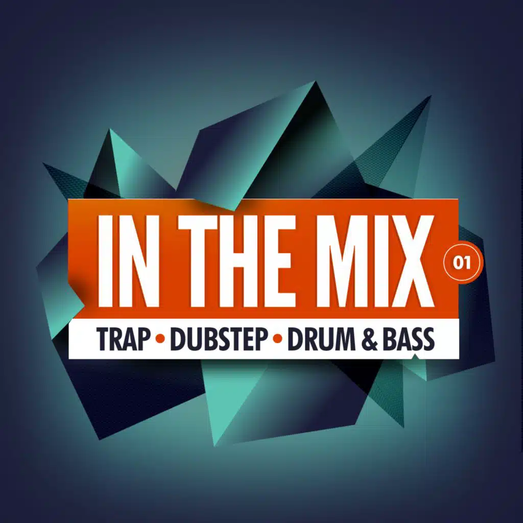 In The Mix 01 (Continuous Mix)