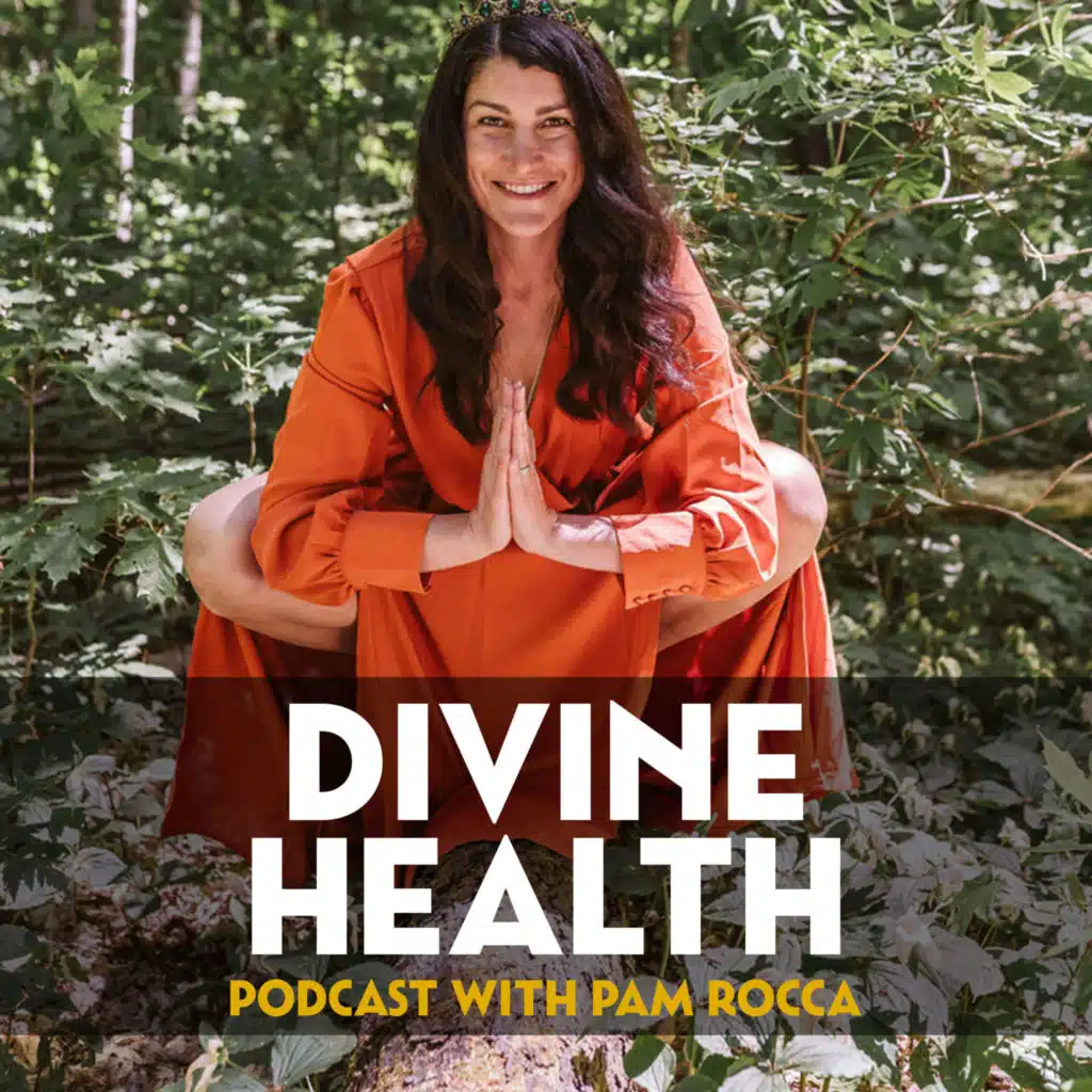 Prosperity, Money, Manifestations & Universal Law with Allyson Chavez