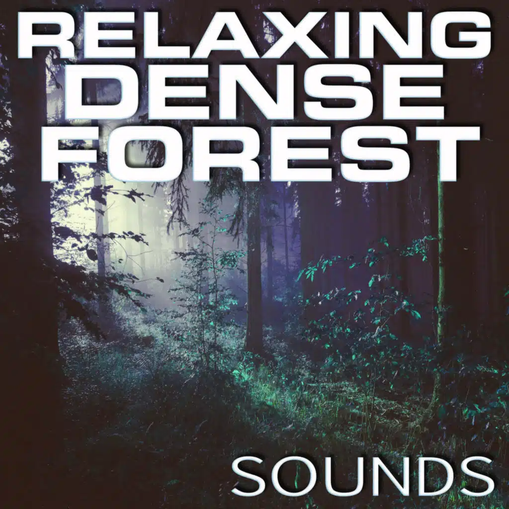 Relaxing Dense Forest Sounds (feat. 3D White Noise, Luxurious Soundscapes FX, Feel Good Sounds 3D, Nature Sounds Discovery, Random Soundscapes & Stress Relief FX)