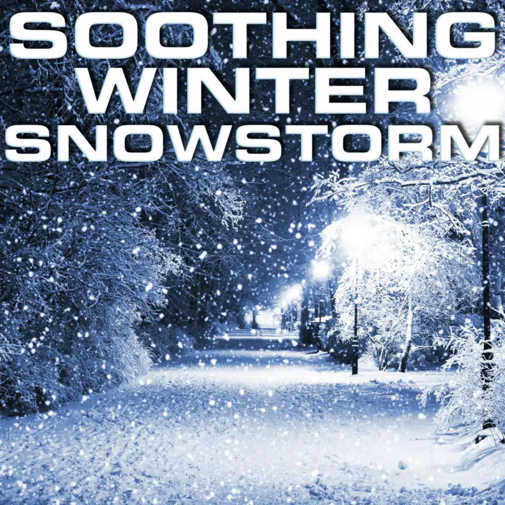 Soothing Winter Snowstorm (feat. 3D Nature Sounds, Luxurious Soundscapes FX, Nature Sounds Discovery, Random Soundscapes, Natural Sound & Nature Meditation)
