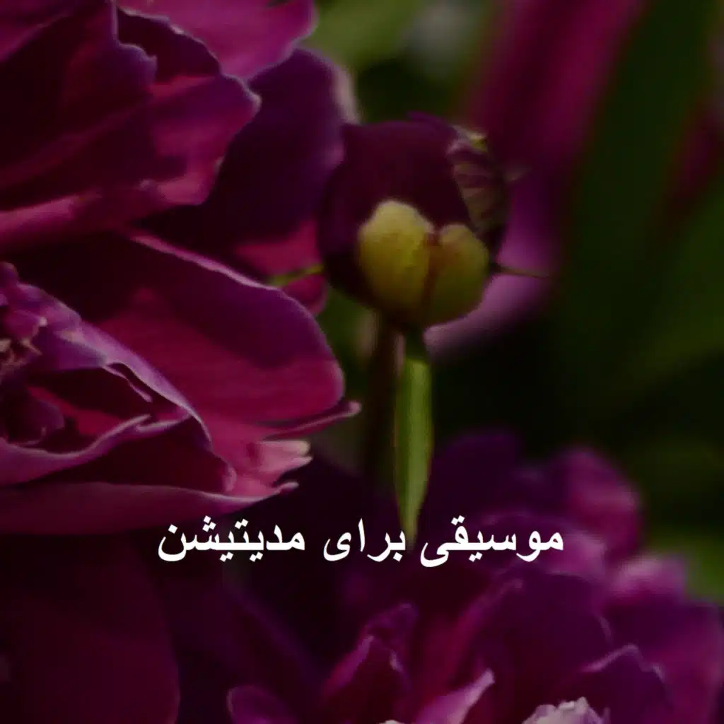 موسیقی برای مدیتیشن