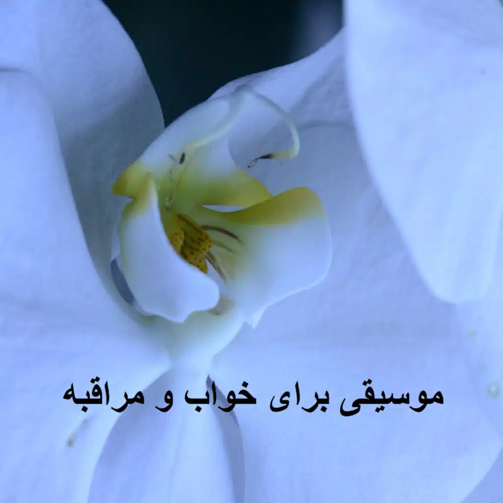 موسیقی برای خواب و مراقبه