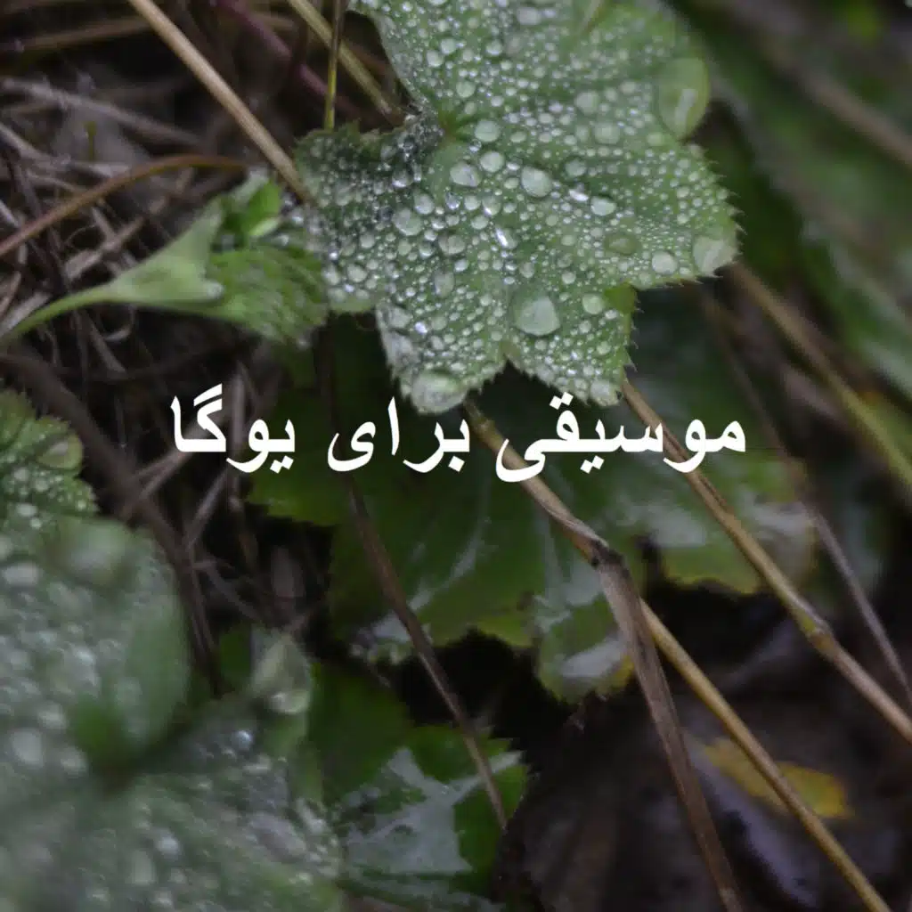 Nature Relax Sounds, New Age Music For Sleep, Sleeping Sound Relax & Sleep And Asmr