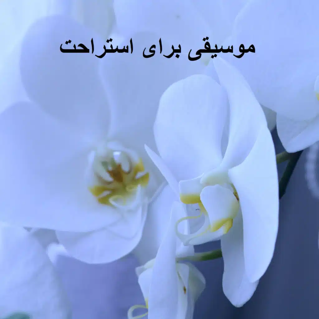 موسیقی برای استراحت