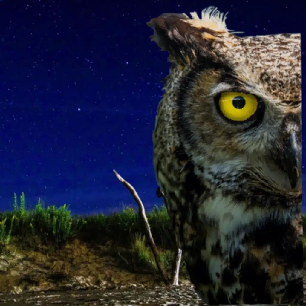 June 16, 2022 - Jan 6 Committee Hearing 3 & A Potential Recession