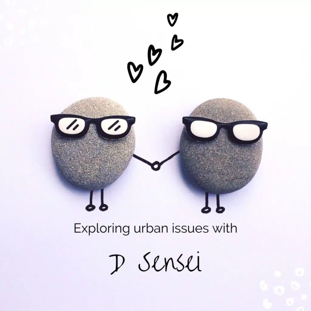 Episode 2: Anthropause to the disposable mask issue